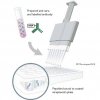 Diagram of ELISA using biotinylated peptides